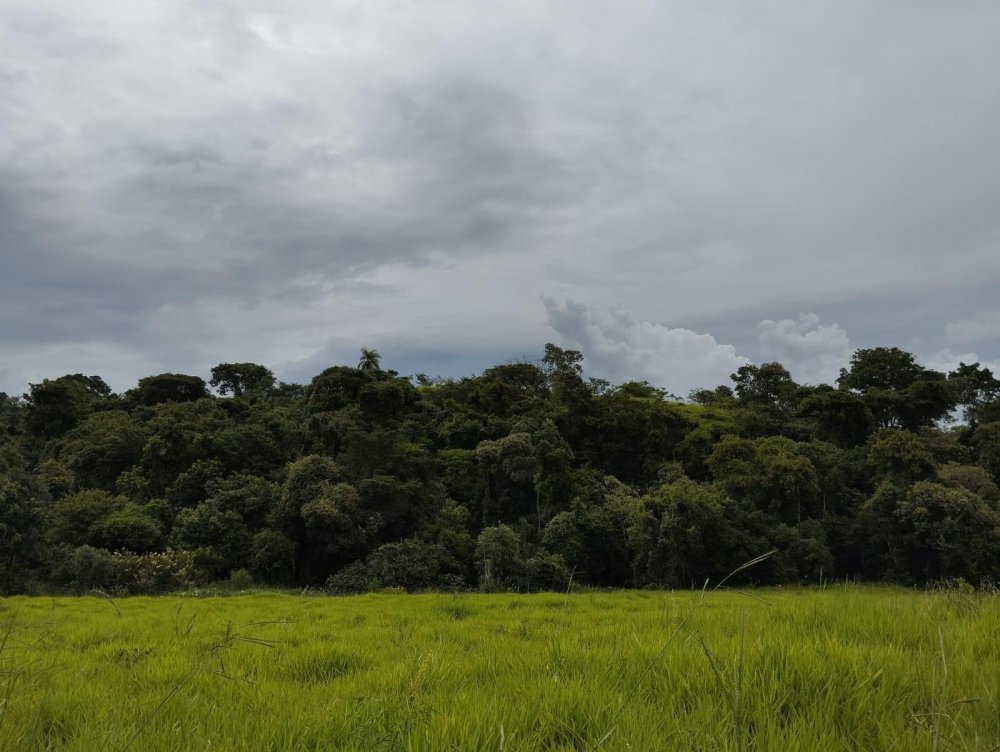 Terreno - Venda - Rodovia - Itirapu - SP